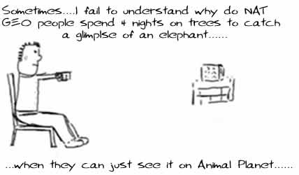 National Geographic, Animal Planet, Nat Geo, discovery, Insane, humor