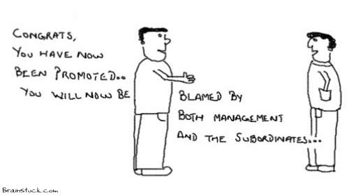 Get Blamed by Management and Subordinates, Promoted, Office,Work Culture,Corporate Hierarchy,Incentives
