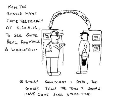 airport security cartoons. Airport Security…