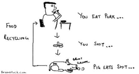 Recycling Food